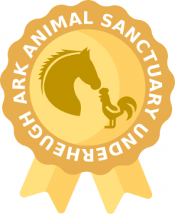 ANIMAL sanctuary1